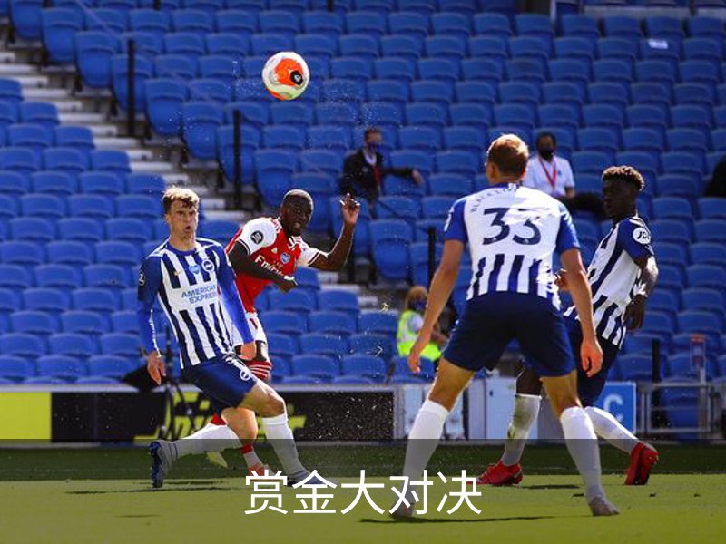 企业简介